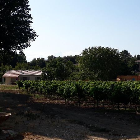 La Petite Maison Dans Les Vignes Chamaret Exterior foto