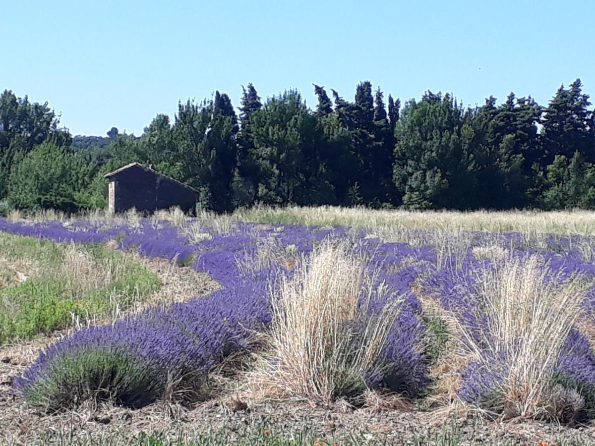 La Petite Maison Dans Les Vignes Chamaret Exterior foto